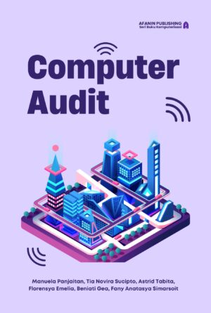 Computer Audit